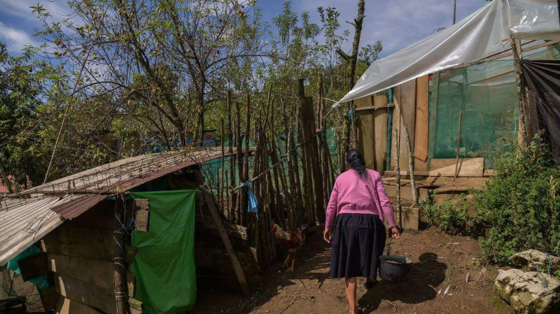 Mujeres en el campo 